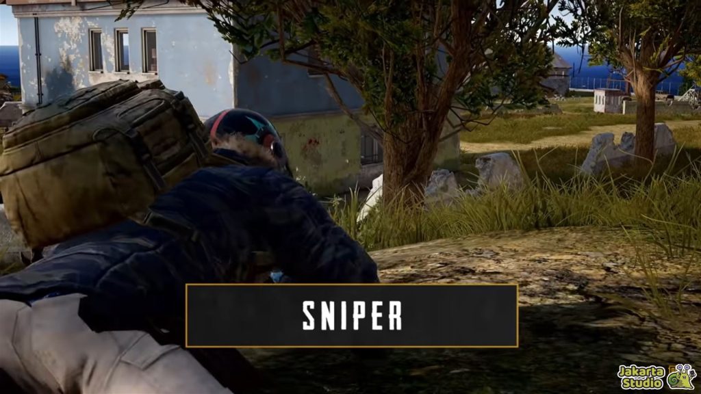 Role PUBG Mobile