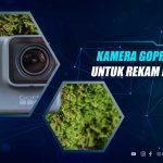 Kamera GoPro Untuk Diving