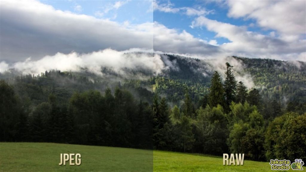 Perbedaan JPG dan JPEG