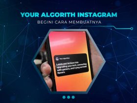 Your Algorithm Instagram