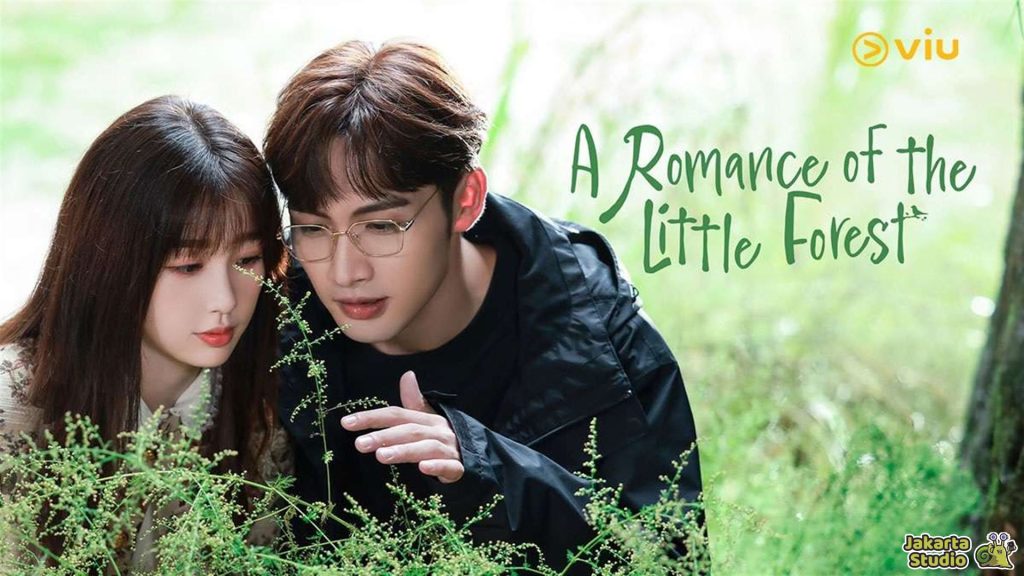 Aplikasi Nonton Drama China