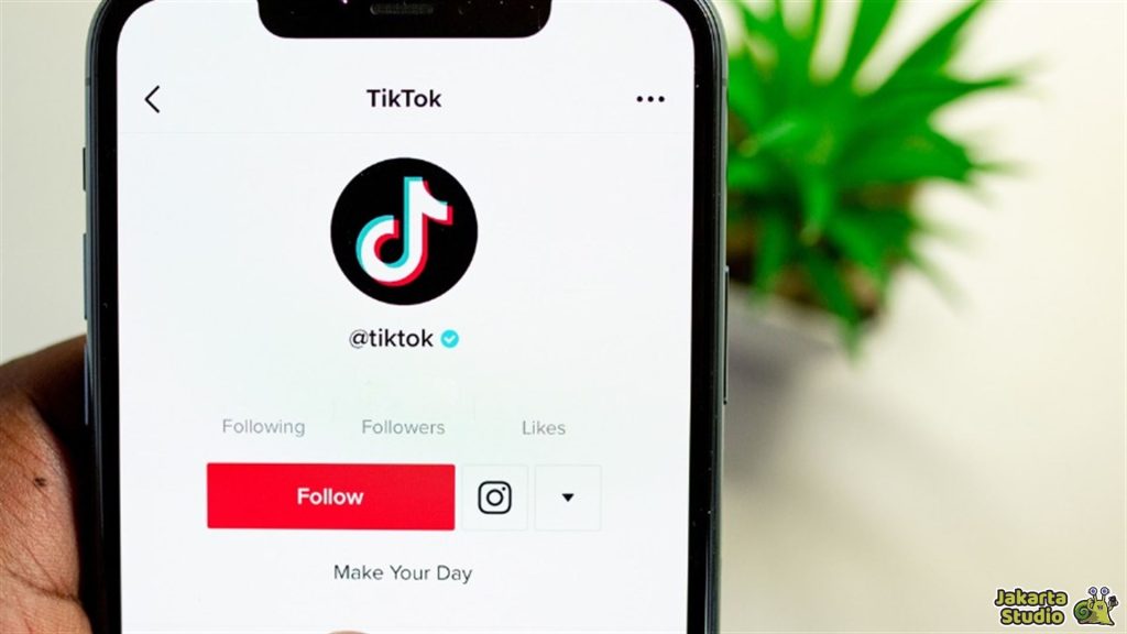 Foto Profil TikTok Hilang
