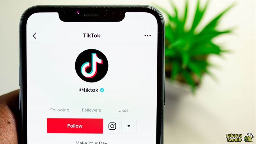 Tiktok Amplify