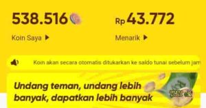 Cara Tarik Saldo Snack Video Ke Dana Terbaru