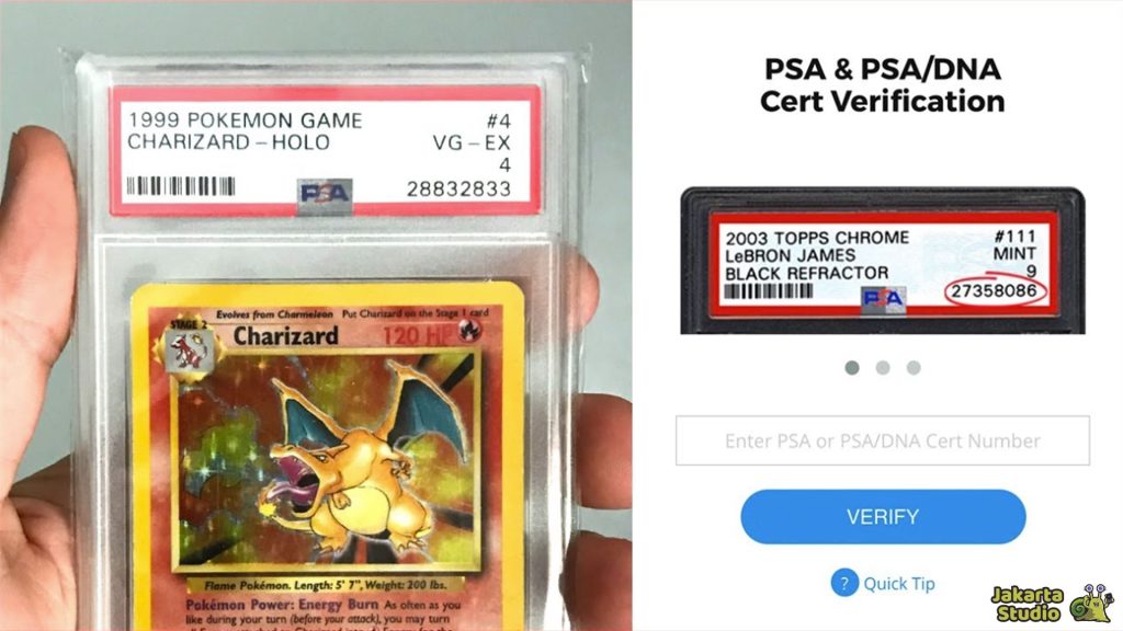 Situs Kolektor Kartu Pokemon